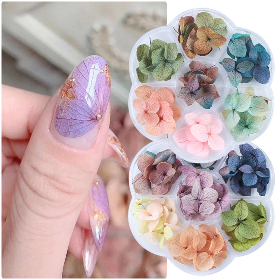 Farger Nail Tørkede Blomster